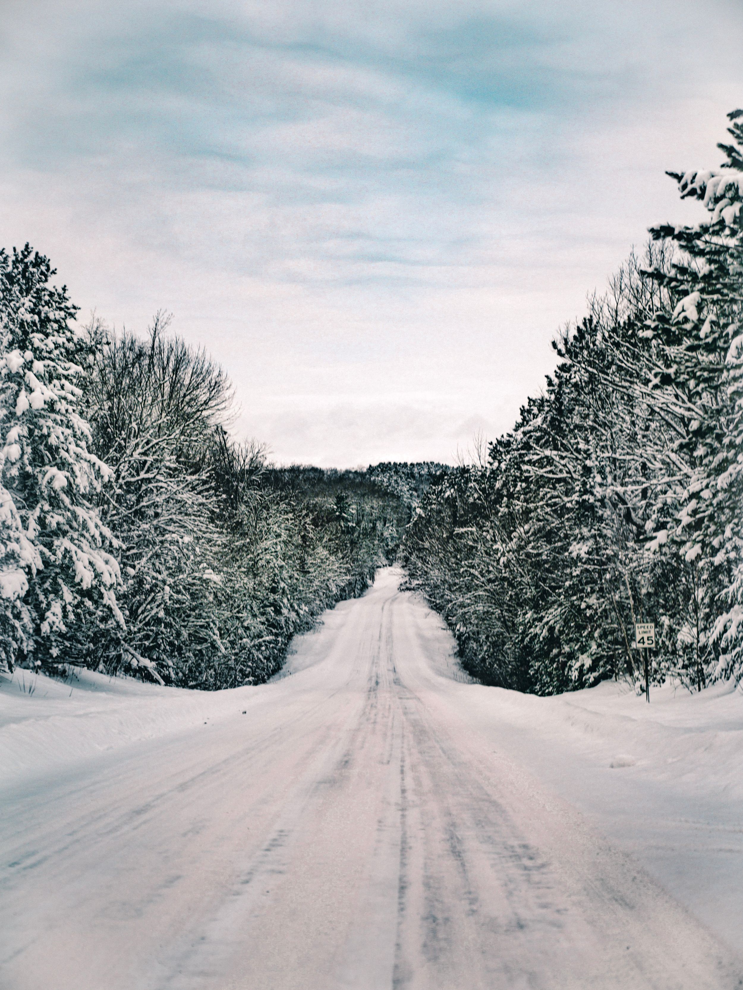 Snow-covered rural road lined with evergreen trees stretching into the distance.