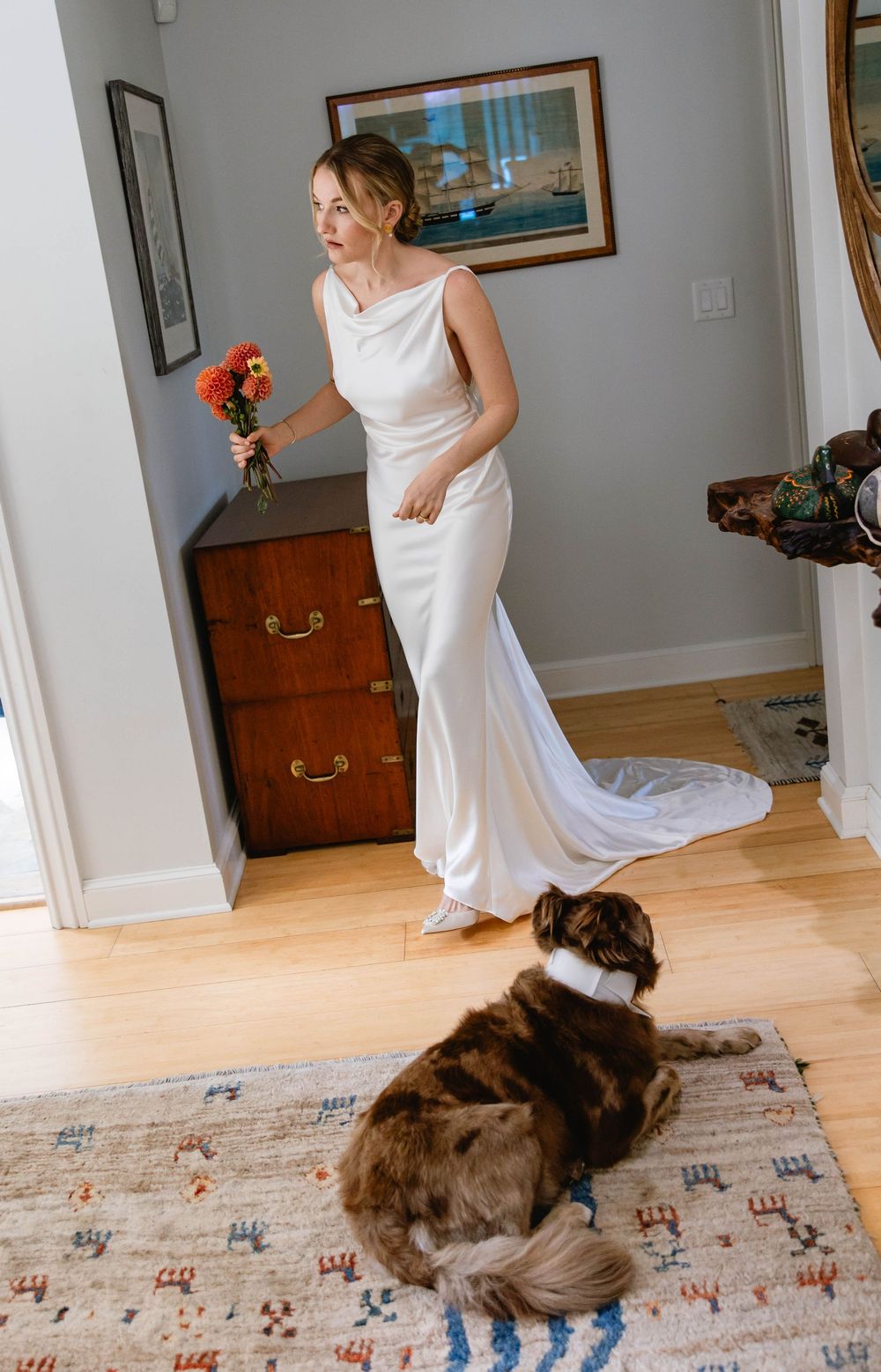 Playful moment with dog lying on patterned rug while white dress swishes by. Weatherlow Farm wedding. Westport Massachusetts.