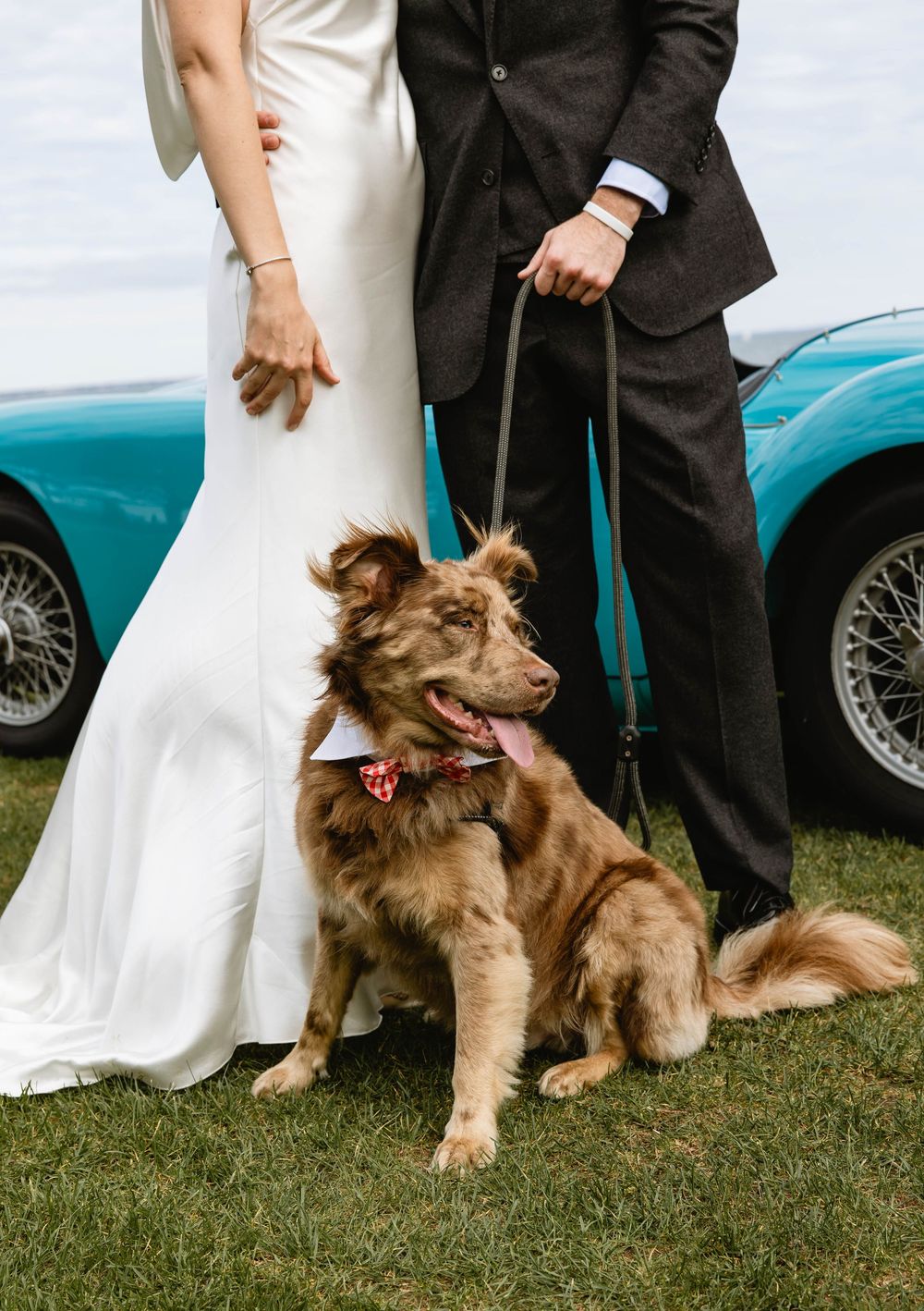 A dog sits on grass next to a wedding dress and formal attire during an outdoor photoshoot. Weatherlow Farm wedding. Westport Massachusetts