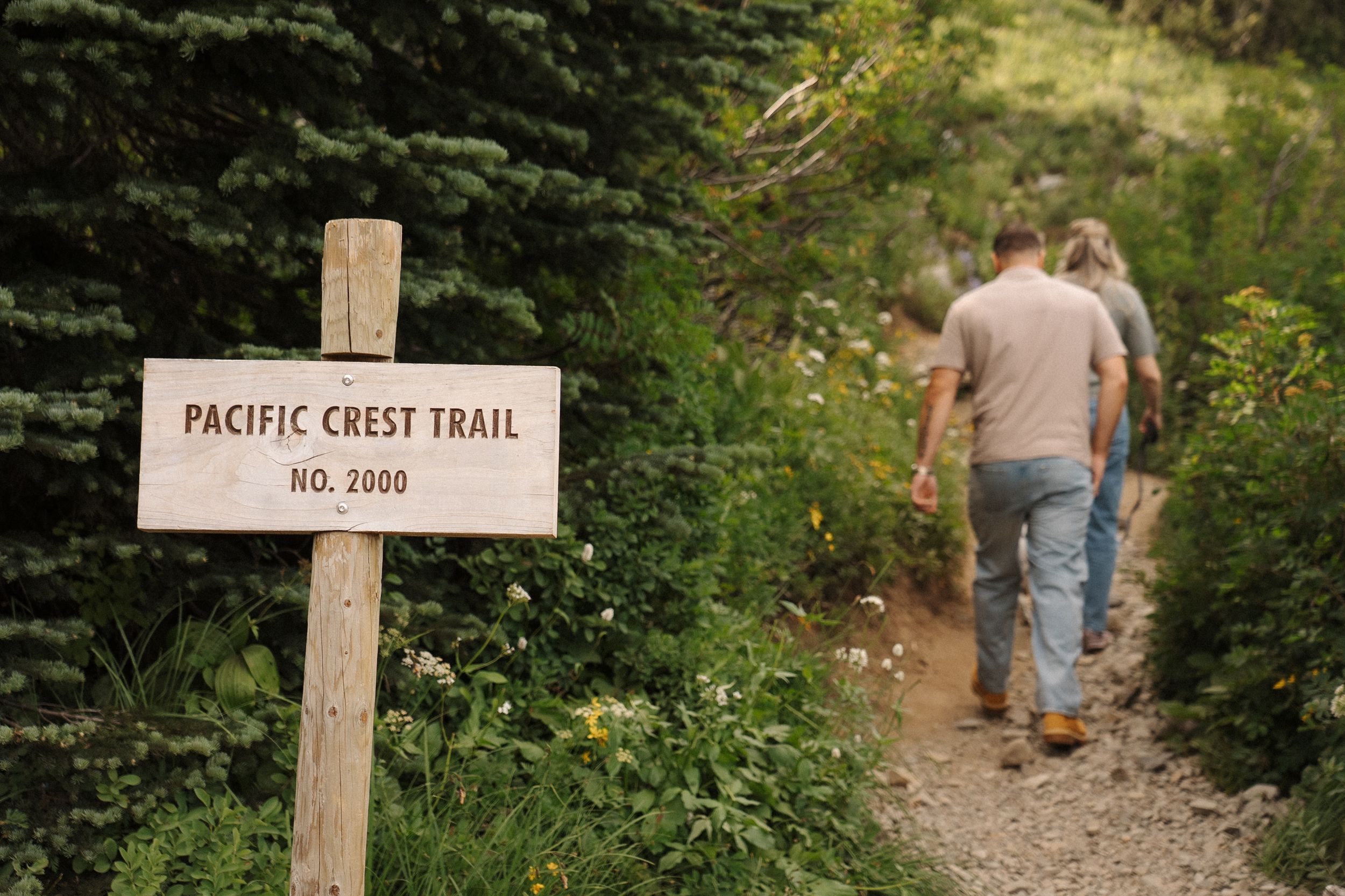 A wooden Pacific Crest Trail marker sign stands beside a dirt hiking path surrounded by green foliage.