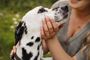A black and white spotted dog being held and petted outdoors in a natural setting.