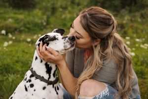A person and a Dalmatian dog share an affectionate moment in a sunny meadow with wildflowers.