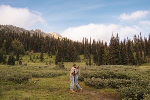 A sweeping mountain landscape with evergreen trees and meadows under a bright blue sky.