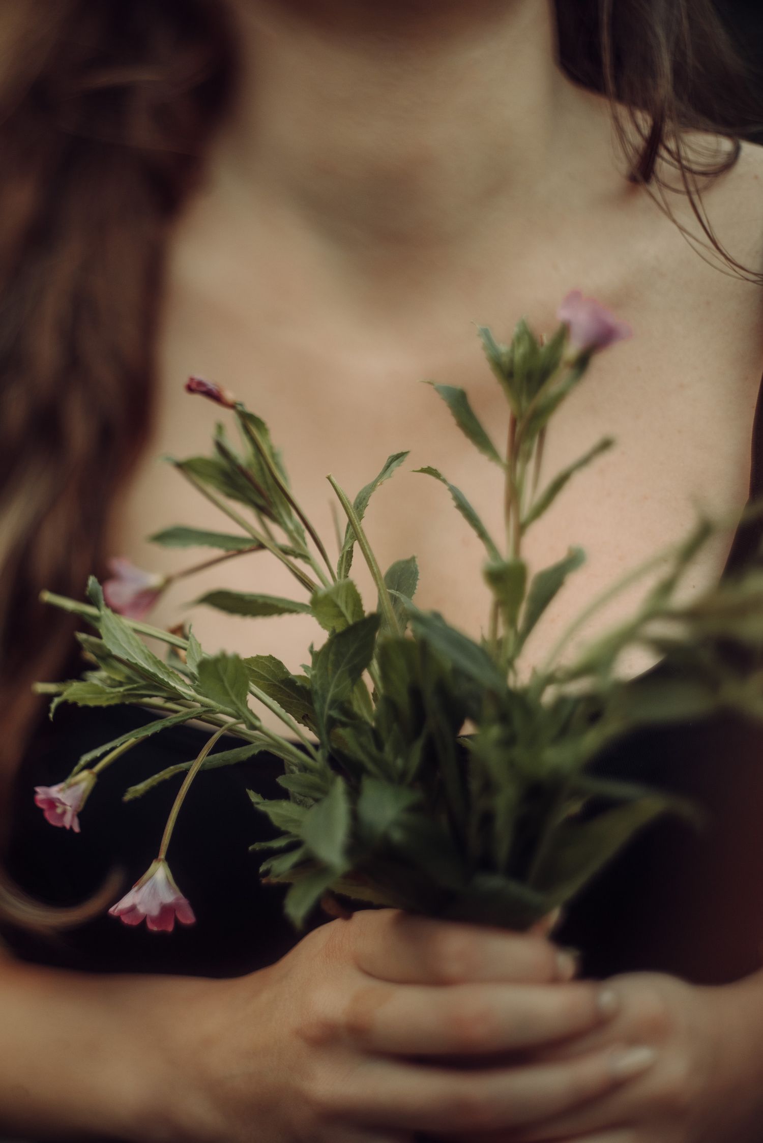 Close-up of delicate potted plants with small purple flowers in soft sepia tones.