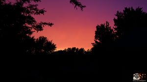 Silhouettes of trees against a dramatic purple and pink sunset sky create a tranquil twilight landscape.