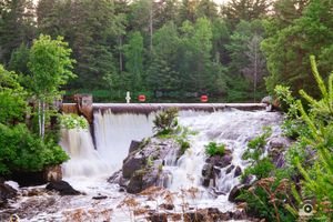 A cascading waterfall flows through a lush green forest during summer, creating multiple tiers of white rushing water.