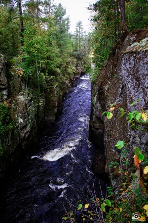 A rushing river cascades through a rocky gorge surrounded by dense pine forest in a scenic wilderness setting.