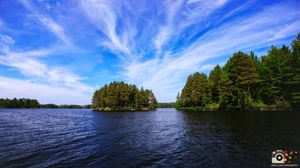 A panoramic view of a tranquil lake surrounded by dense pine forest under a bright blue sky with wispy clouds.