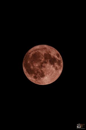 A blood moon appears as a full lunar disc glowing with reddish-orange hues against a pitch black night sky.