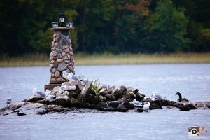 A collection of photos showing a pile of driftwood logs scattered across the shoreline of a lake during different times of day.