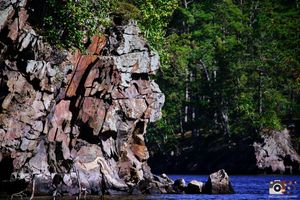 Scenic rock cliffs and pine trees along a blue lake shore in summer.