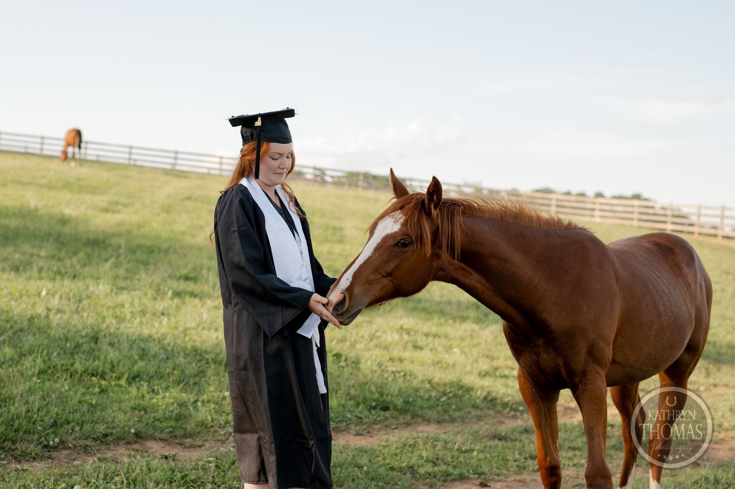 Graduate in academic regalia pets brown horse in fenced pasture.