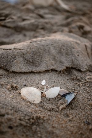 New Jersey Engagement, Family, Wedding, Proposal Photographer