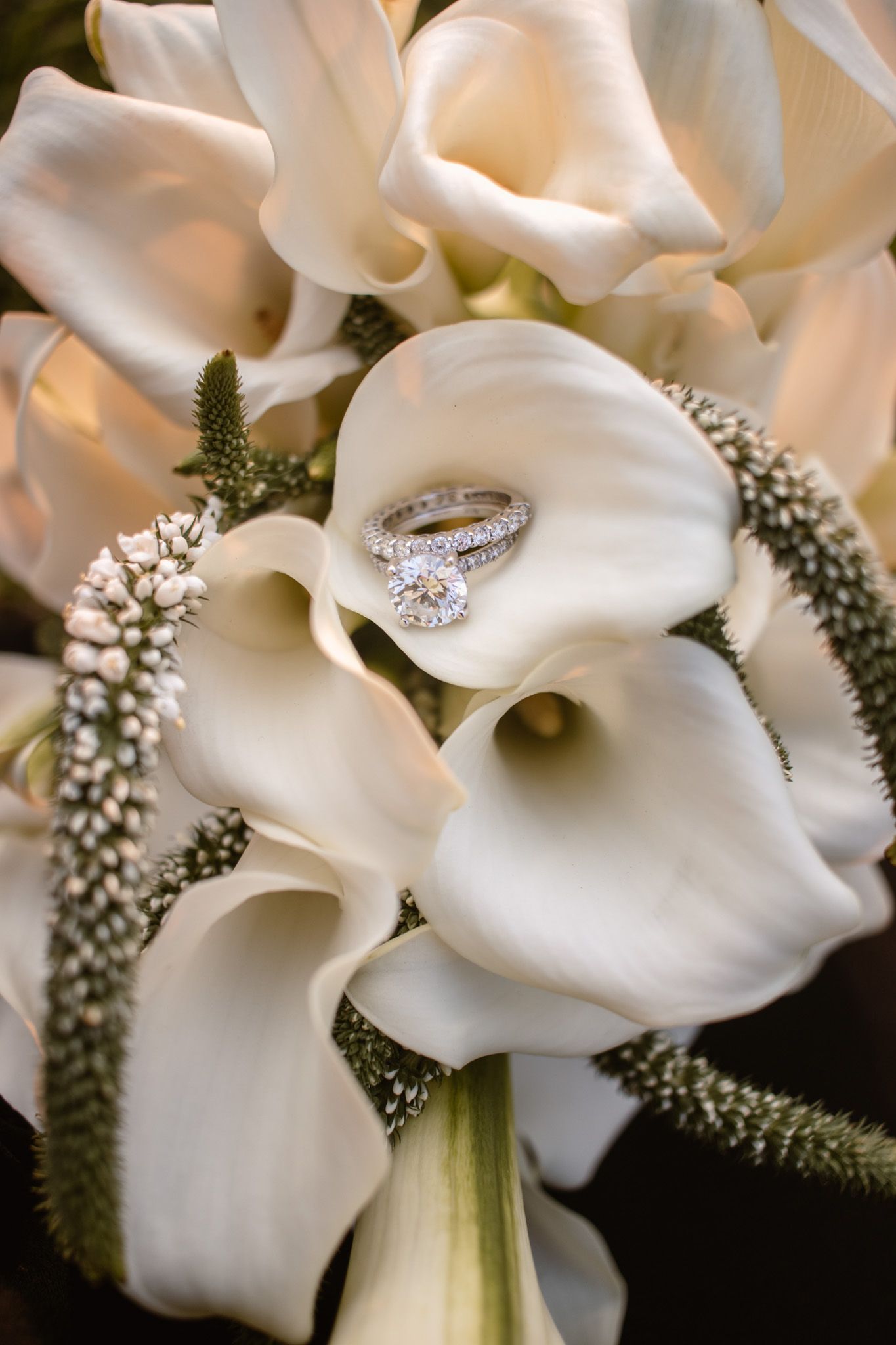 New Jersey Engagement, Family, Wedding, Proposal Photographer