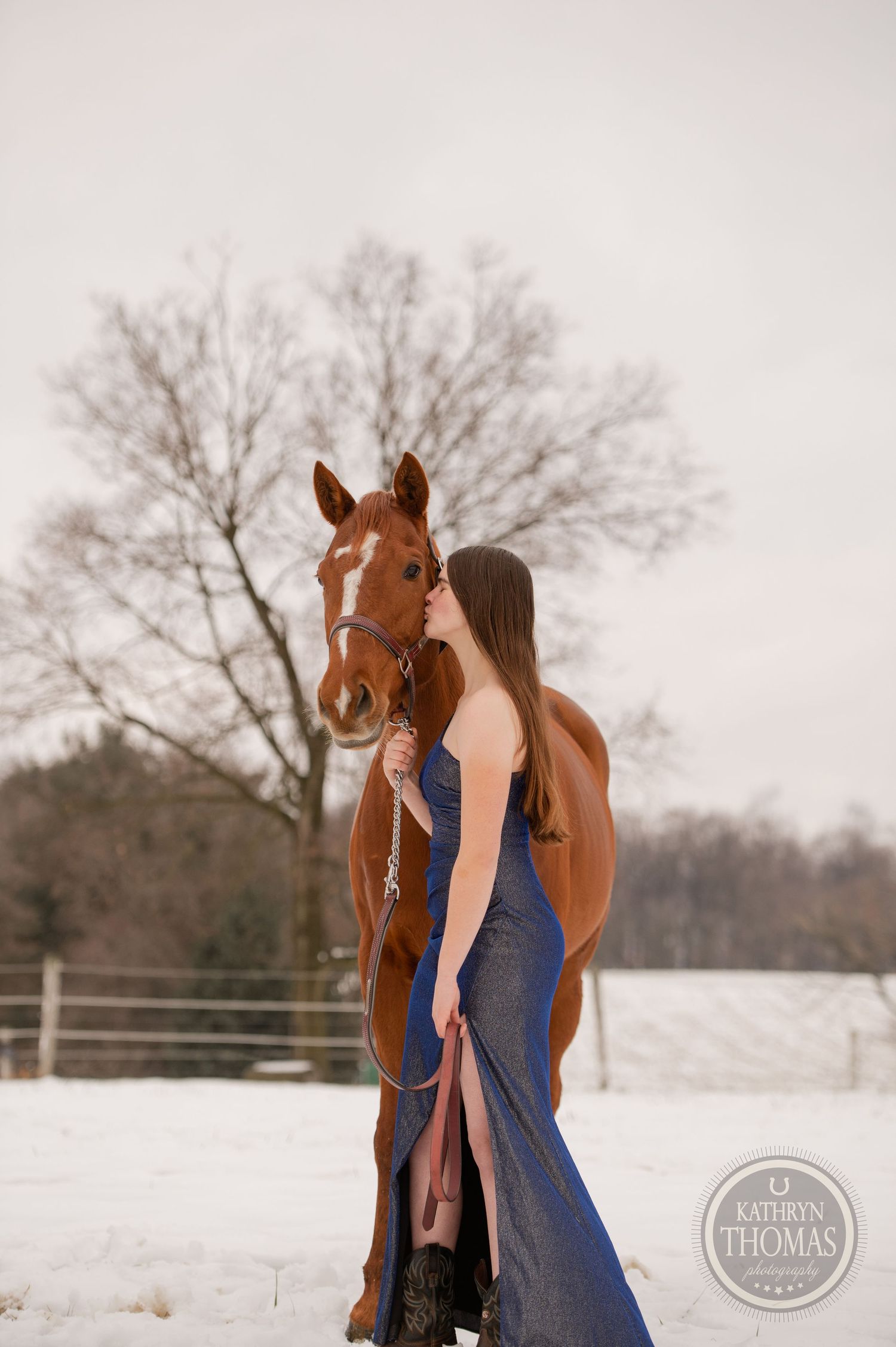 A chestnut horse with white blaze poses in a winter landscape with bare trees.
