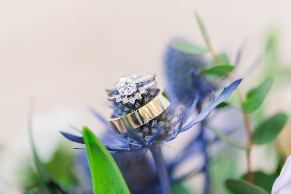 Wedding rings displayed on a purple flower with green foliage in macro photography.