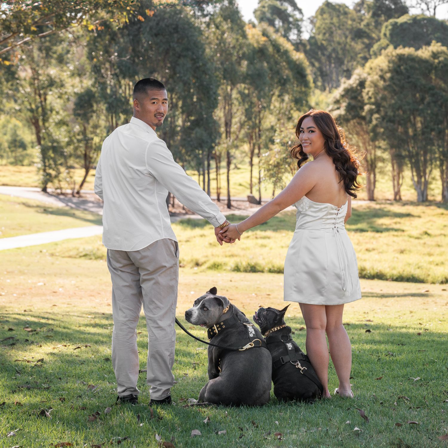Dogs sitting in between their owners while looking back during photo taken during a dog friendly elopement photoshoot in Western Sydney