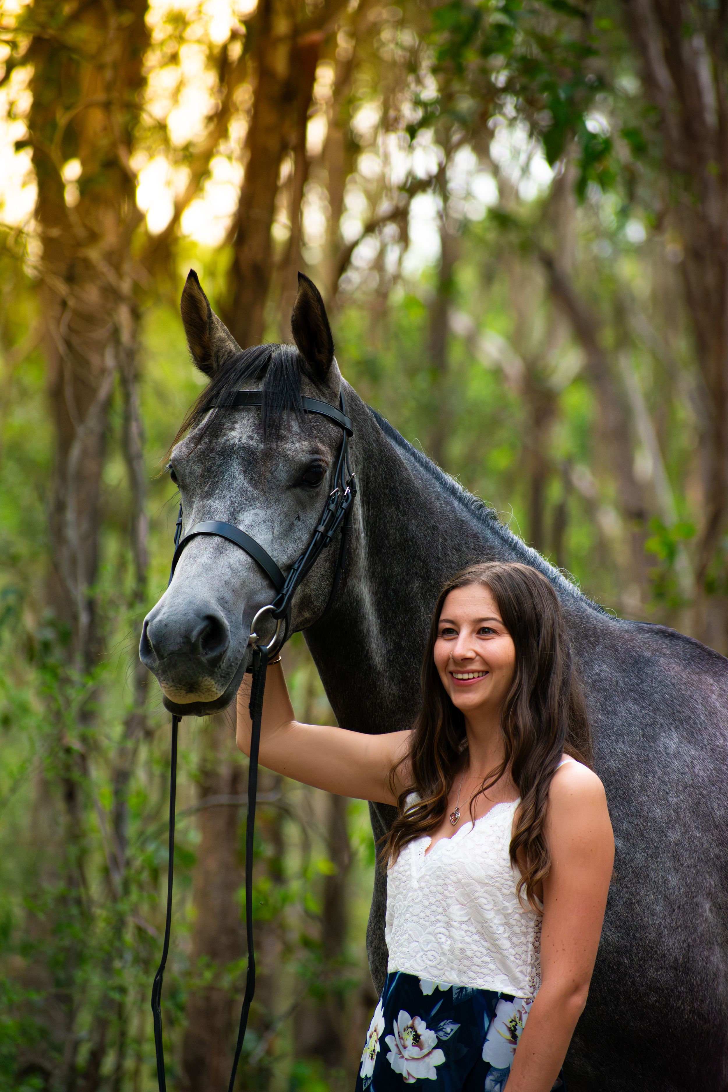 Equine portraits