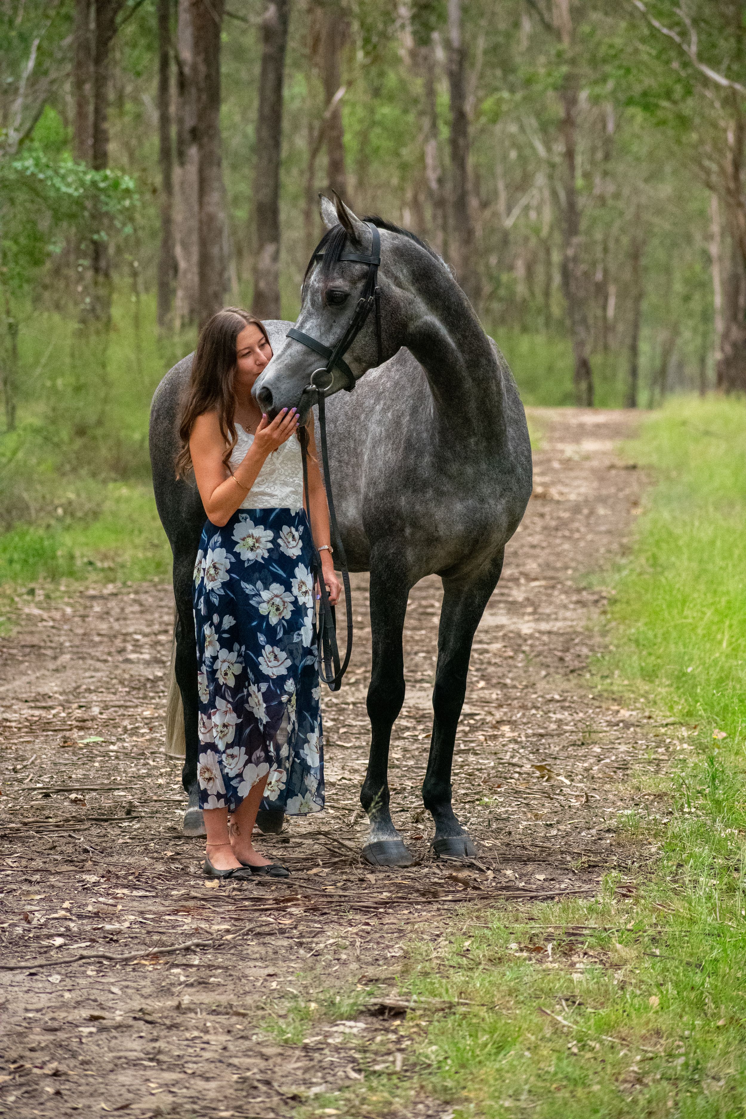 A beautiful dappled gray horse stands with its rider on a wooded trail while sharing a tender moment together.