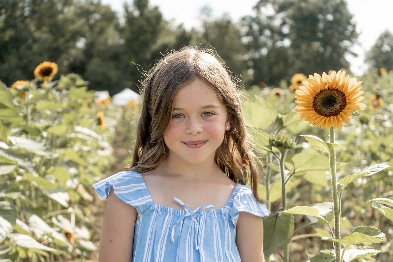 Young girl with brown hair smiling in a sunflower field wearing a blue striped dress.