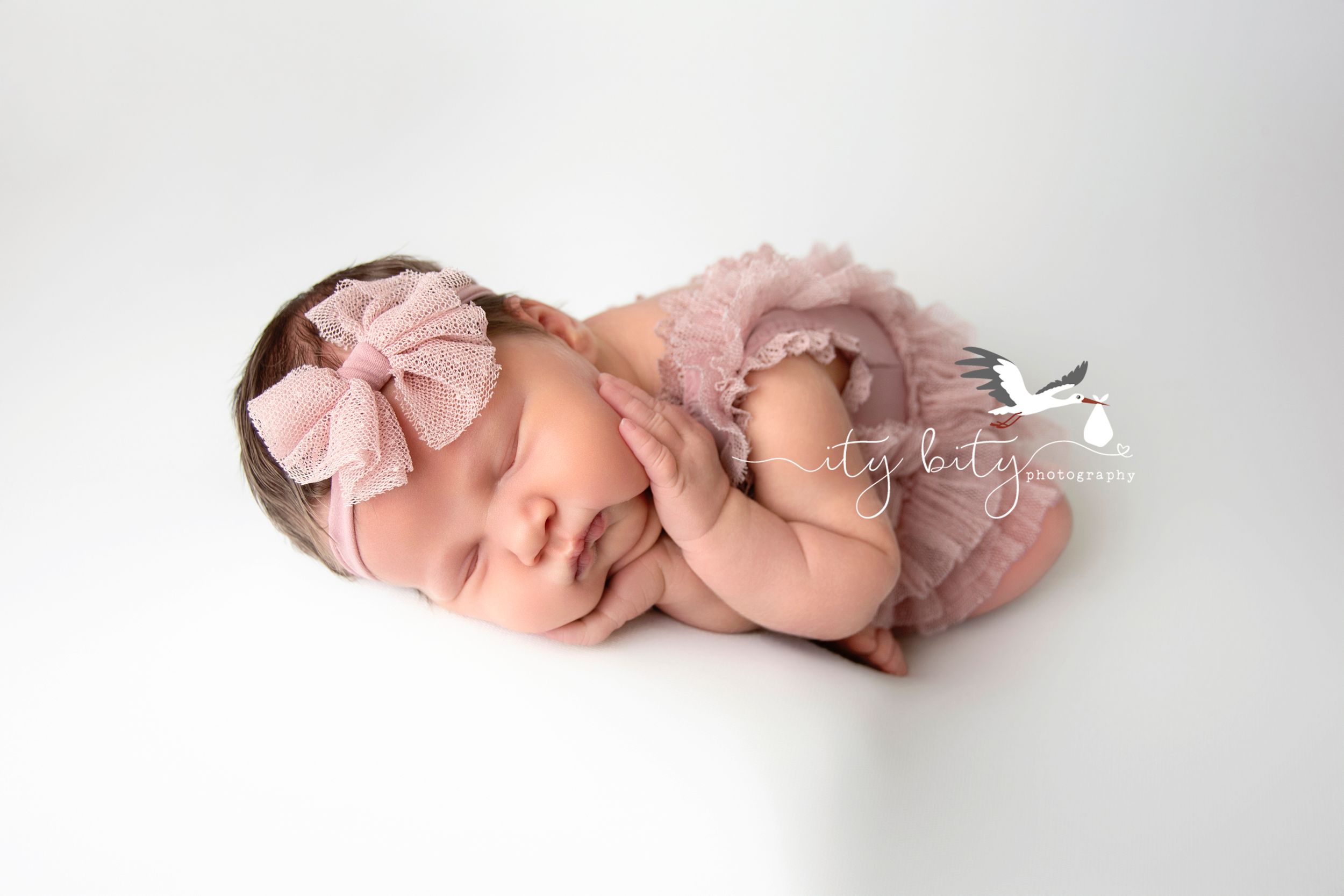Avon Lake Newborn Photographer Ity Bity Photography Baby Girl
