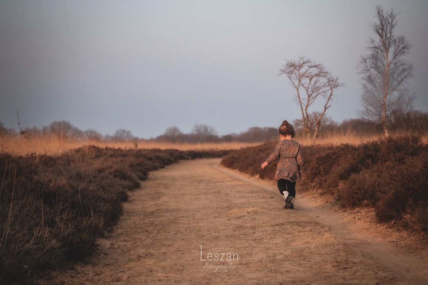 A person in warm clothing walks along a dirt path through misty winter countryside at dawn.
