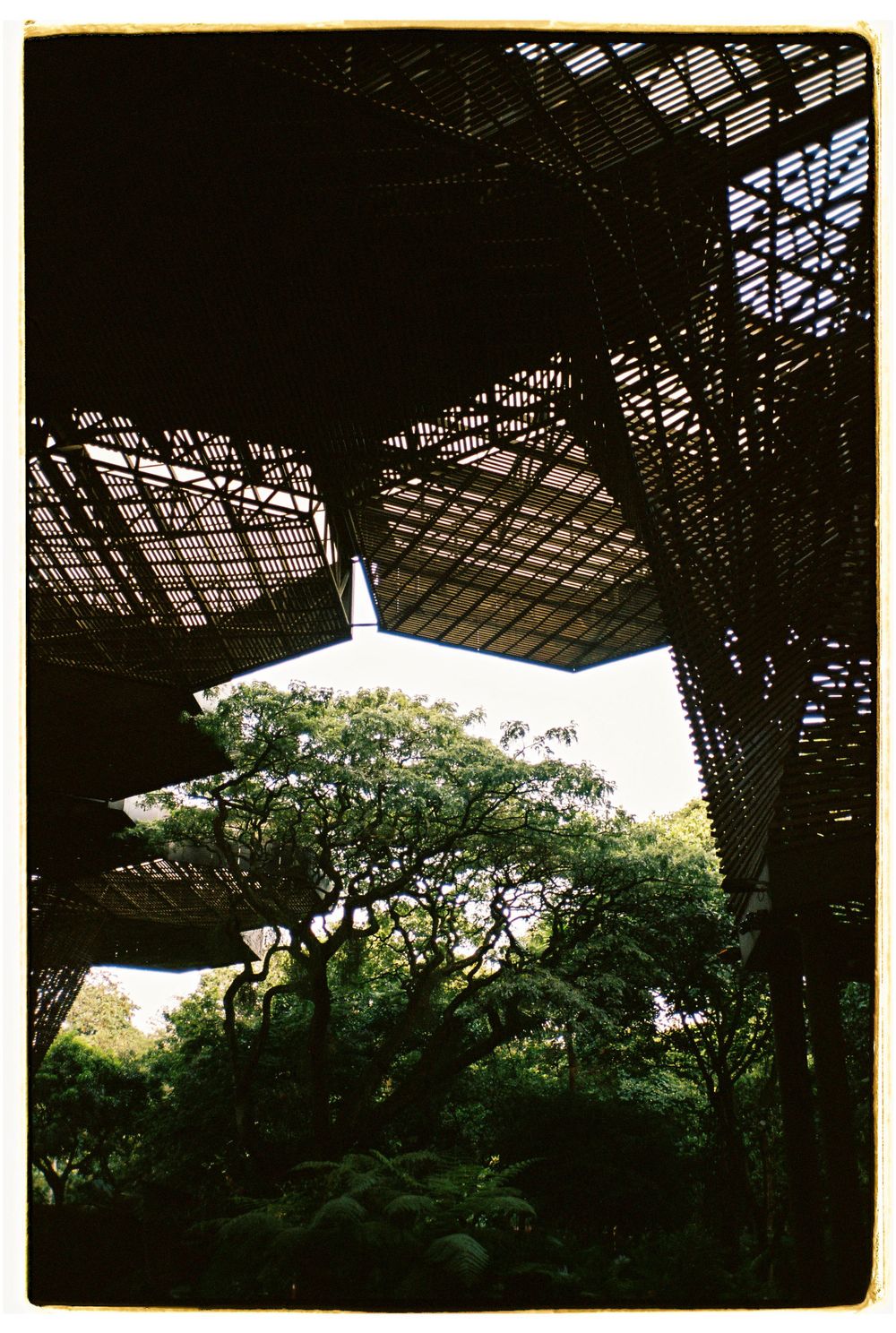 Architectural view through a metal lattice structure with trees visible in background.