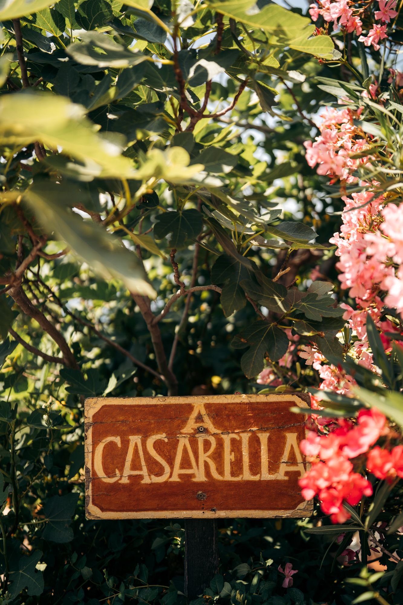 restuarant a casarella au dessus de l'ile-rousse