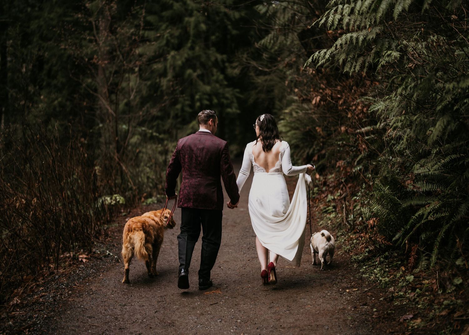 elopement photography of husband and wife walking their dogs on a trail near Snoqualmie Falls after they eloped.