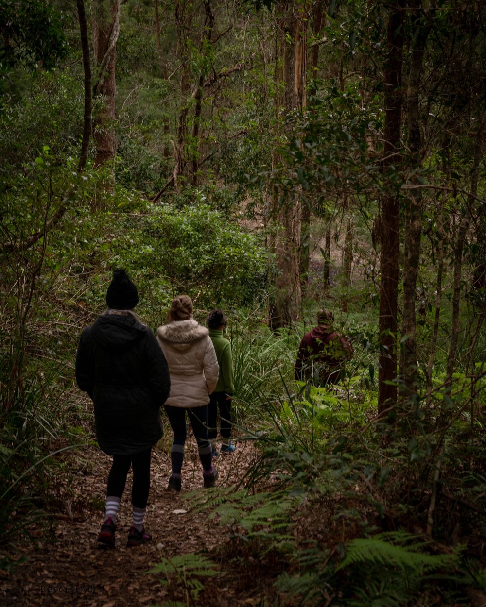 People enjoying some solitude in a woody forest
