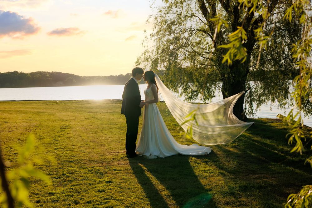 Bride and groom share a romantic moment by a sunlit lake, with her veil flowing in the breeze near a willow tree.