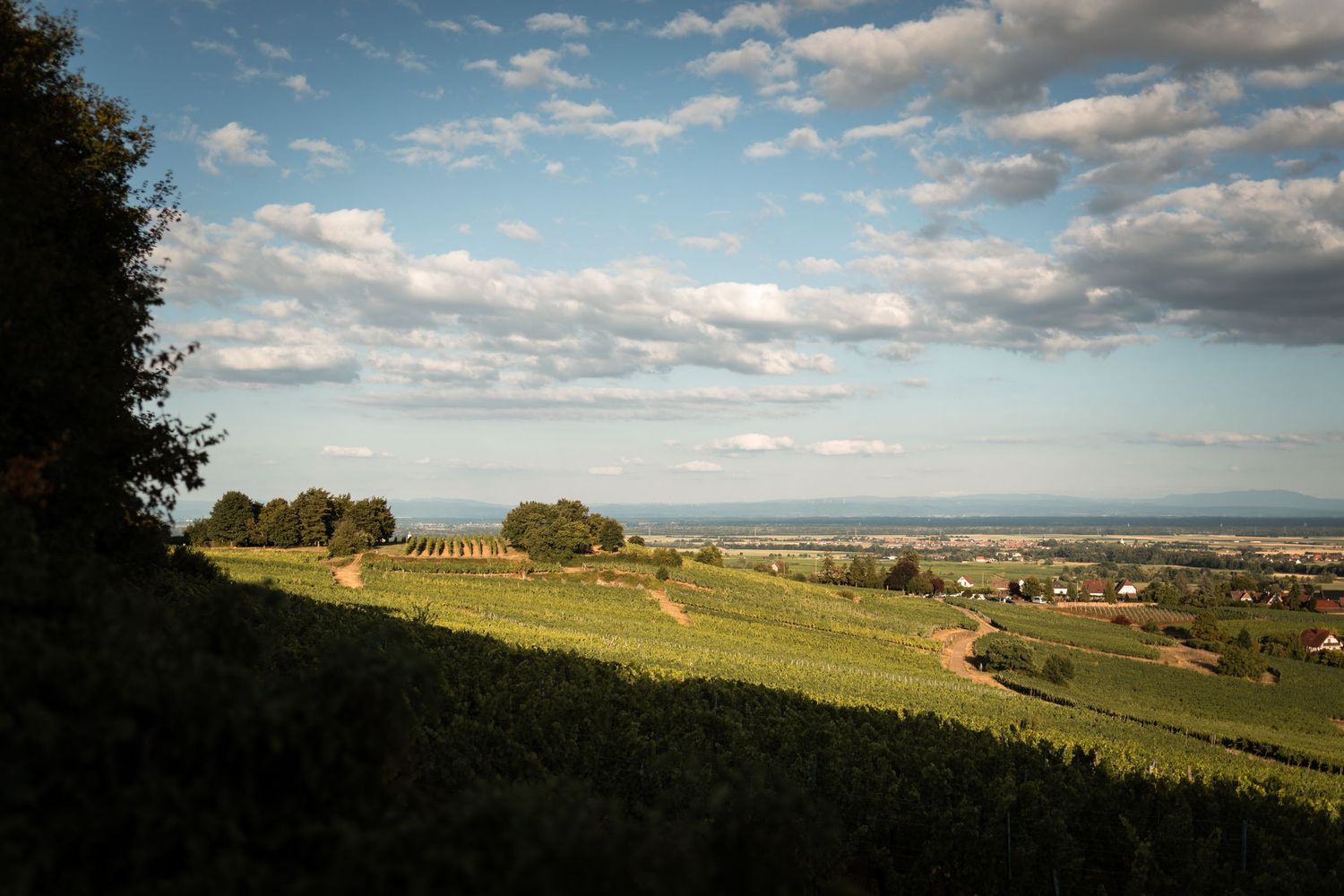 Paysage du centre Alsace lors de la séance photo.