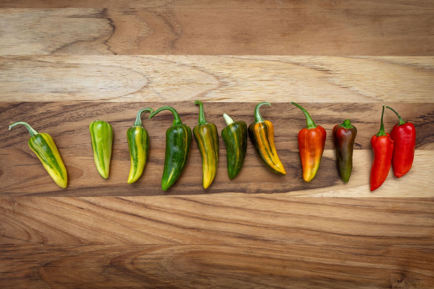 Line of multicolored chili peppers arranged on natural wood grain surface.