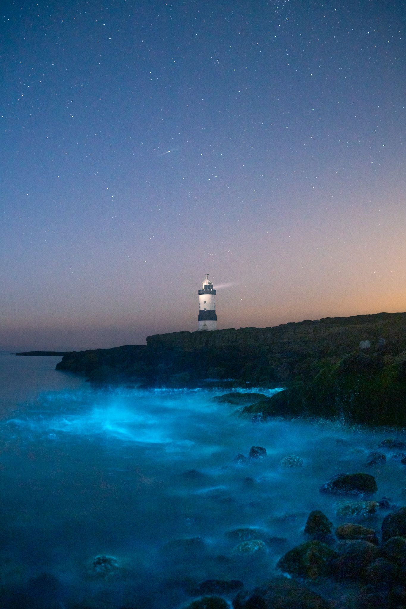 Bioluminescent plankton, Penmon