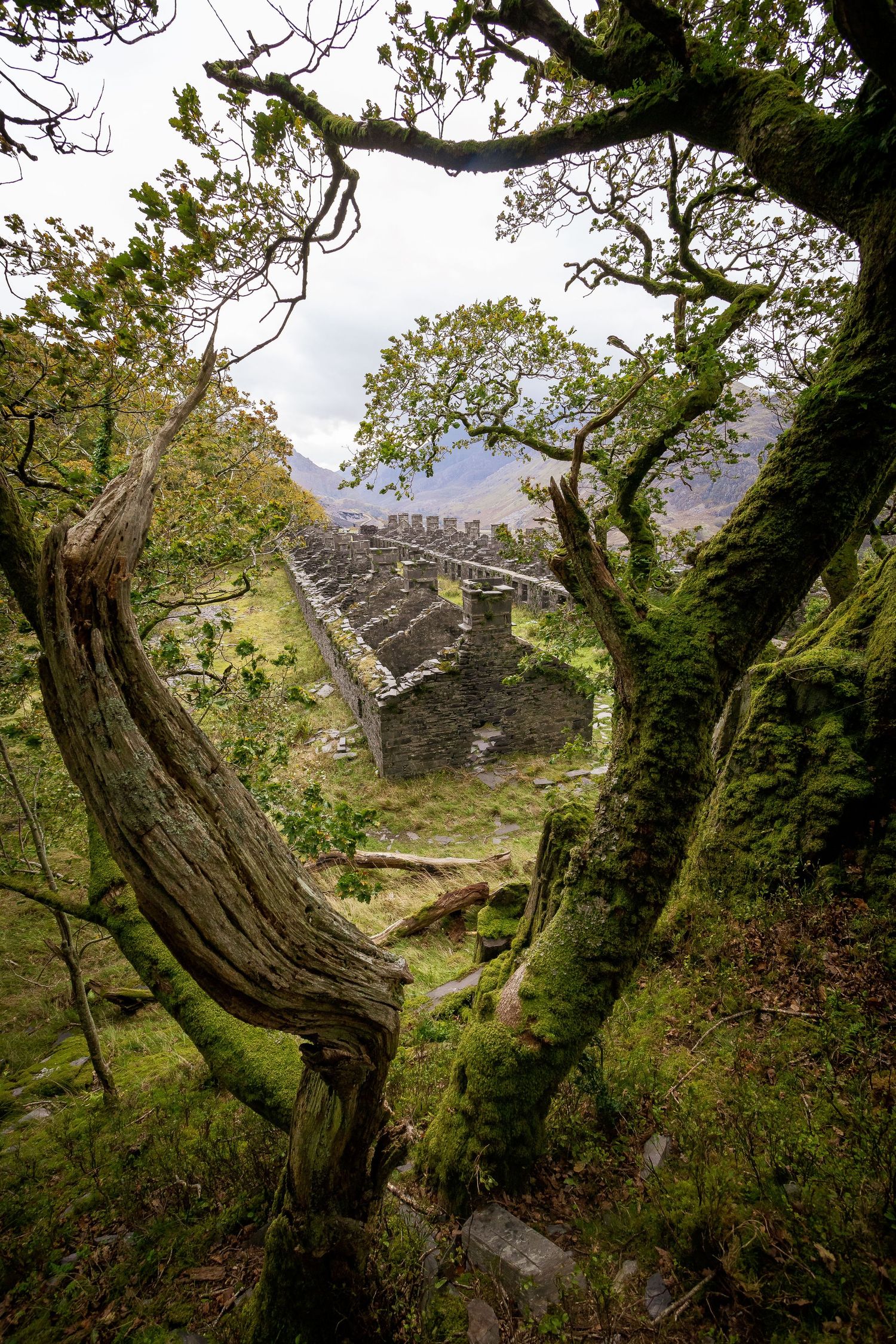 Barics Dre Newydd, Dinorwig