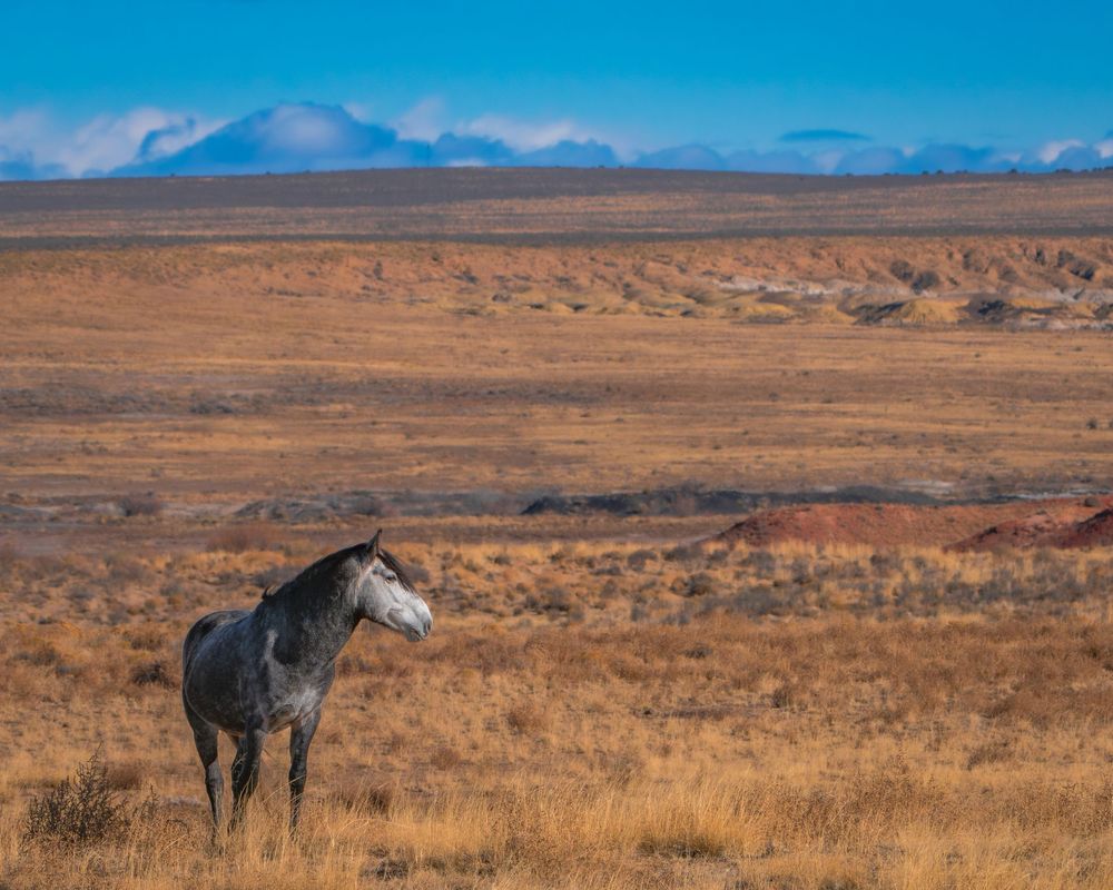 Fine Art Photography Landscape New Mexico