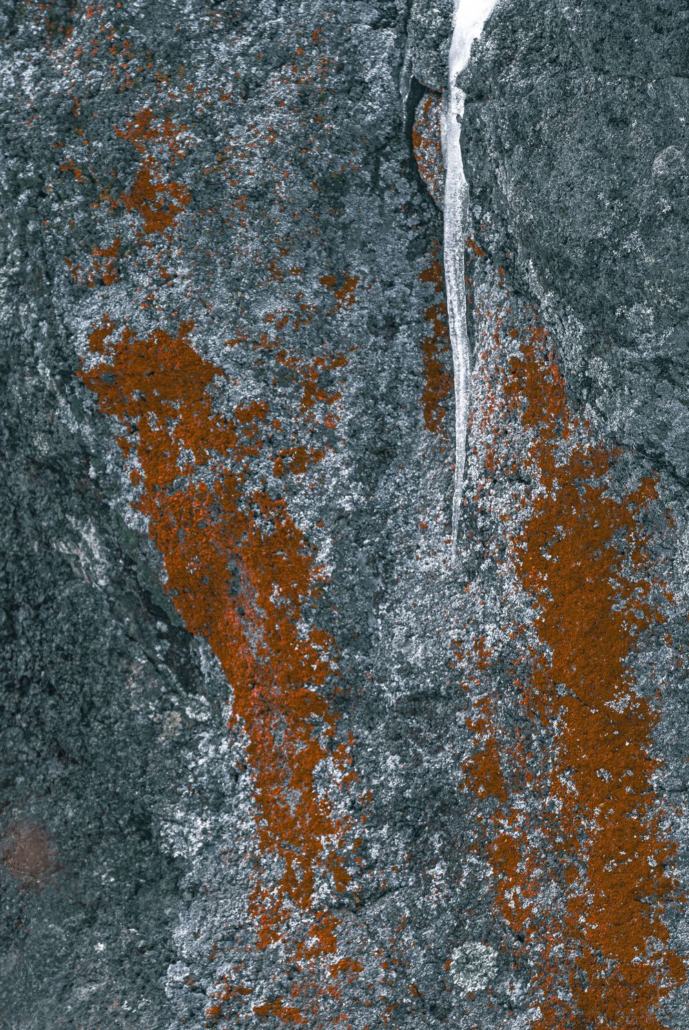 Jemez Winter