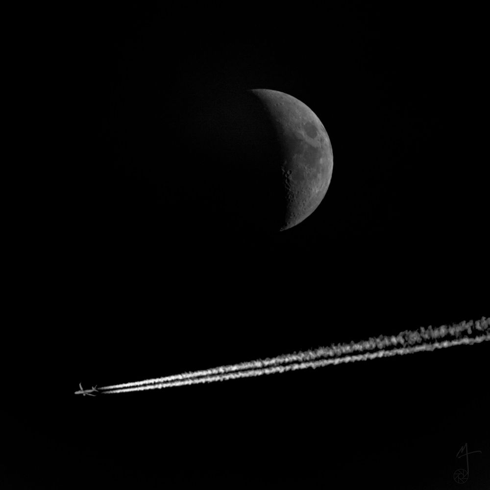Moon Flight