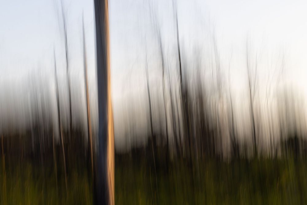 Annabelle Robinson Visual Arts abstract environmental photography