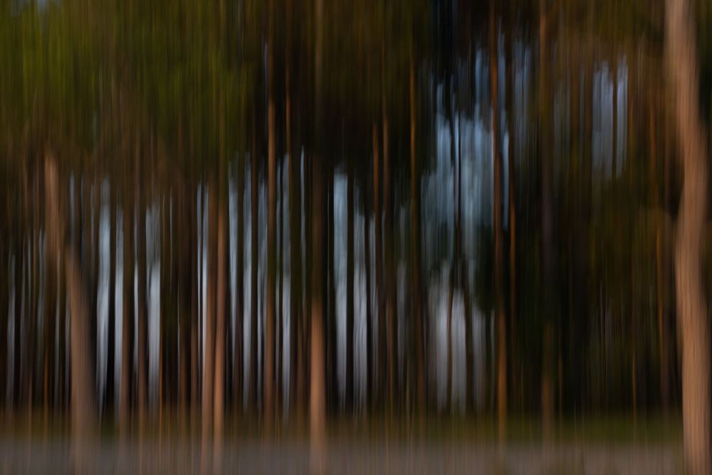 Annabelle Robinson Visual Arts abstract environmental photography