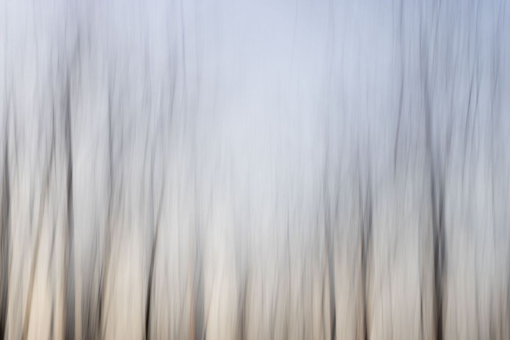 Annabelle Robinson Visual Arts abstract environmental photography