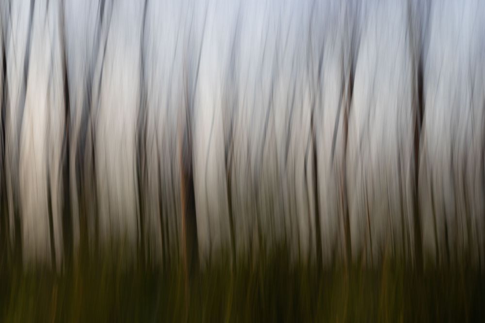 Annabelle Robinson Visual Arts abstract environmental photography