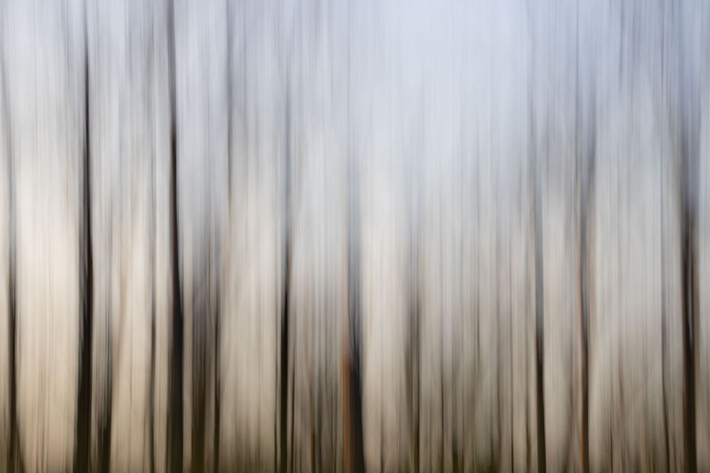 Annabelle Robinson Visual Arts abstract environmental photography