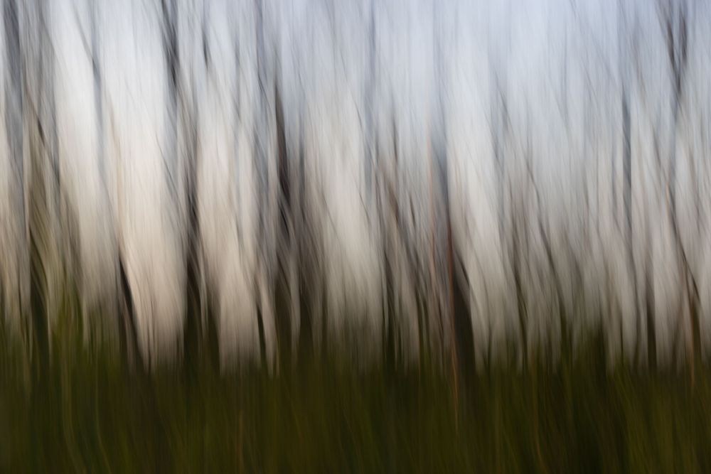 Annabelle Robinson Visual Arts abstract environmental photography