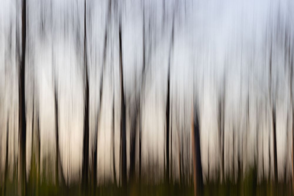Annabelle Robinson Visual Arts abstract environmental photography