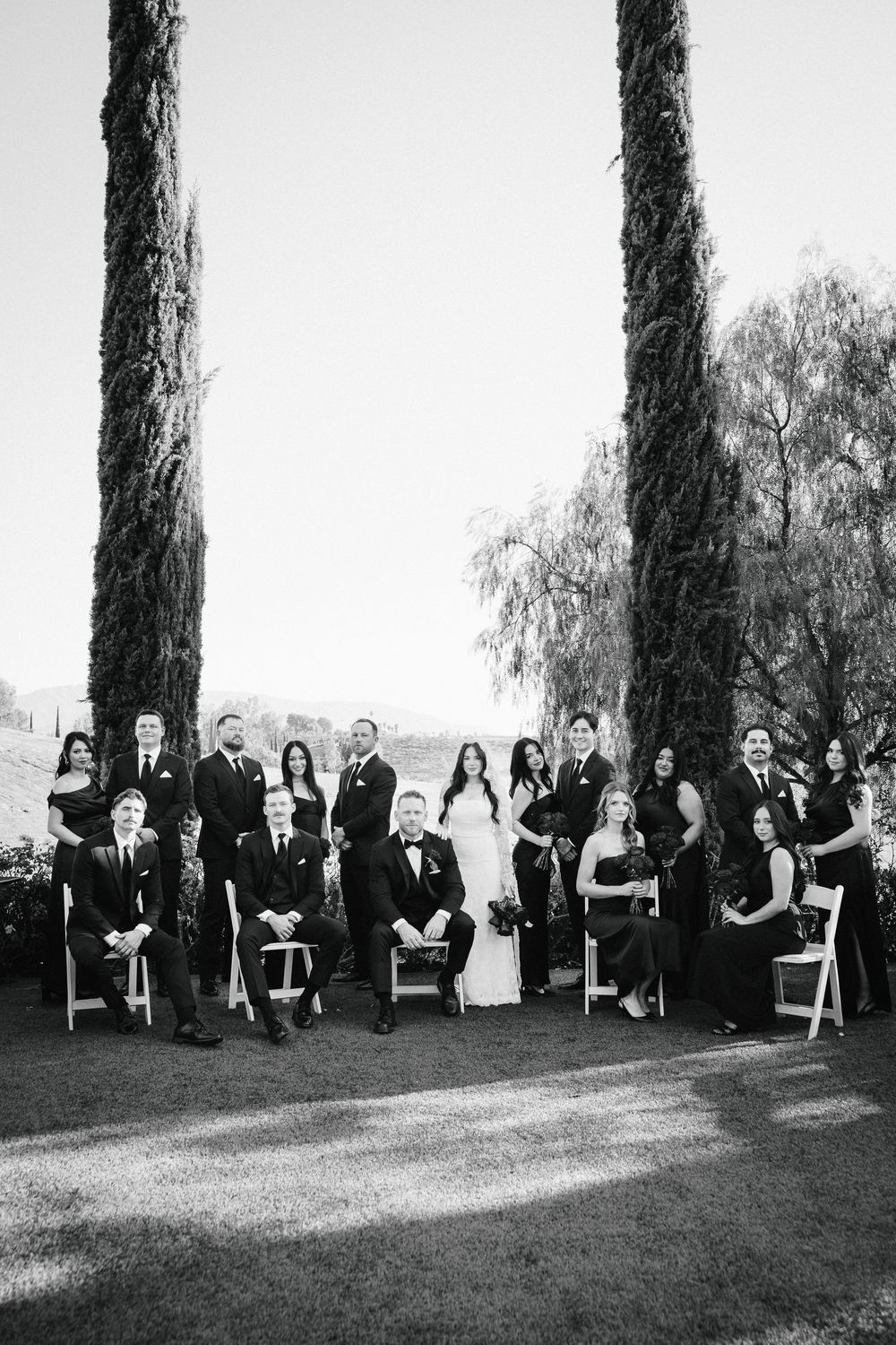 editorial documentary wedding party photo. bride and groom surrounded by wedding party between tall cypress trees outdoors.