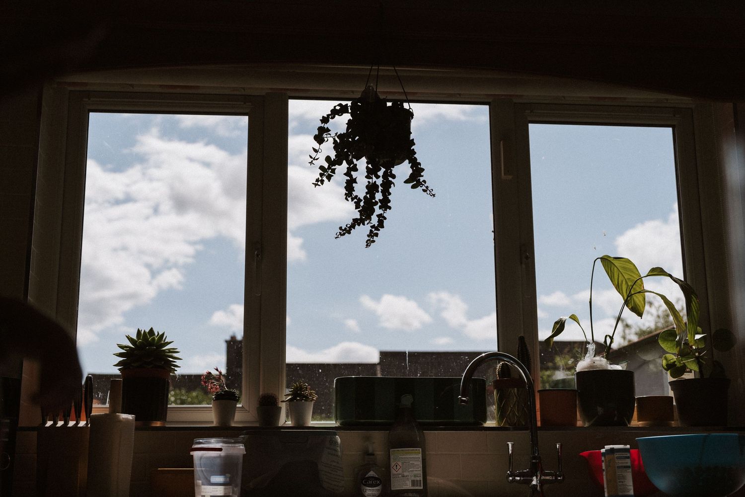 Panoramic view of a city skyline seen through multiple window frames with plants on the windowsill.