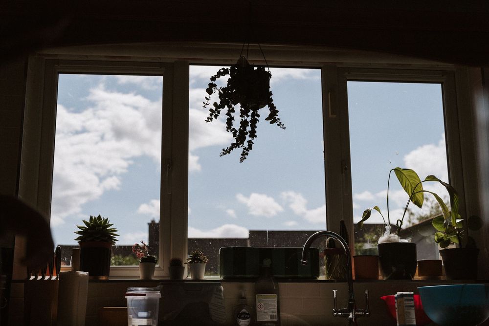 Panoramic view of a city skyline seen through multiple window frames with plants on the windowsill.