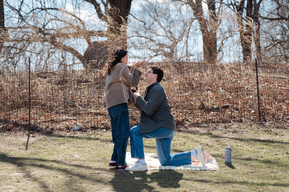 A man in jeans proposes on a picnic blanket to a woman who looks totally shocked in Prospect Park.