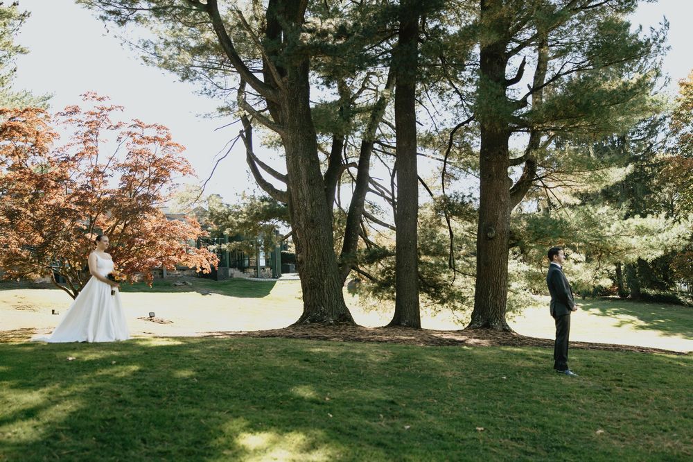 Autumn trees with colorful foliage create a scenic backdrop in a grassy park setting.